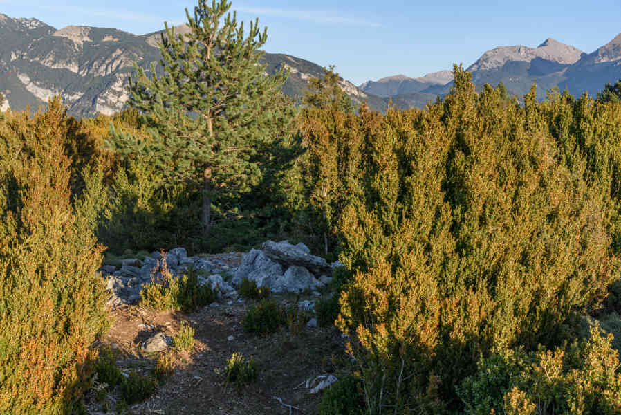 Huesca - Tella 45 - dolmen Sierra de Basar.jpg